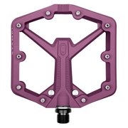 Цвет plum purple