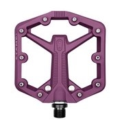 Цвет plum purple