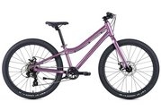 Цвет berry / plum