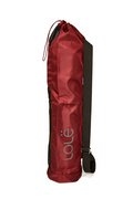 Цвет r258 windsor wine