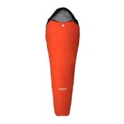 Цвет 4339 orange.com