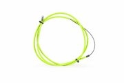 Цвет neon green